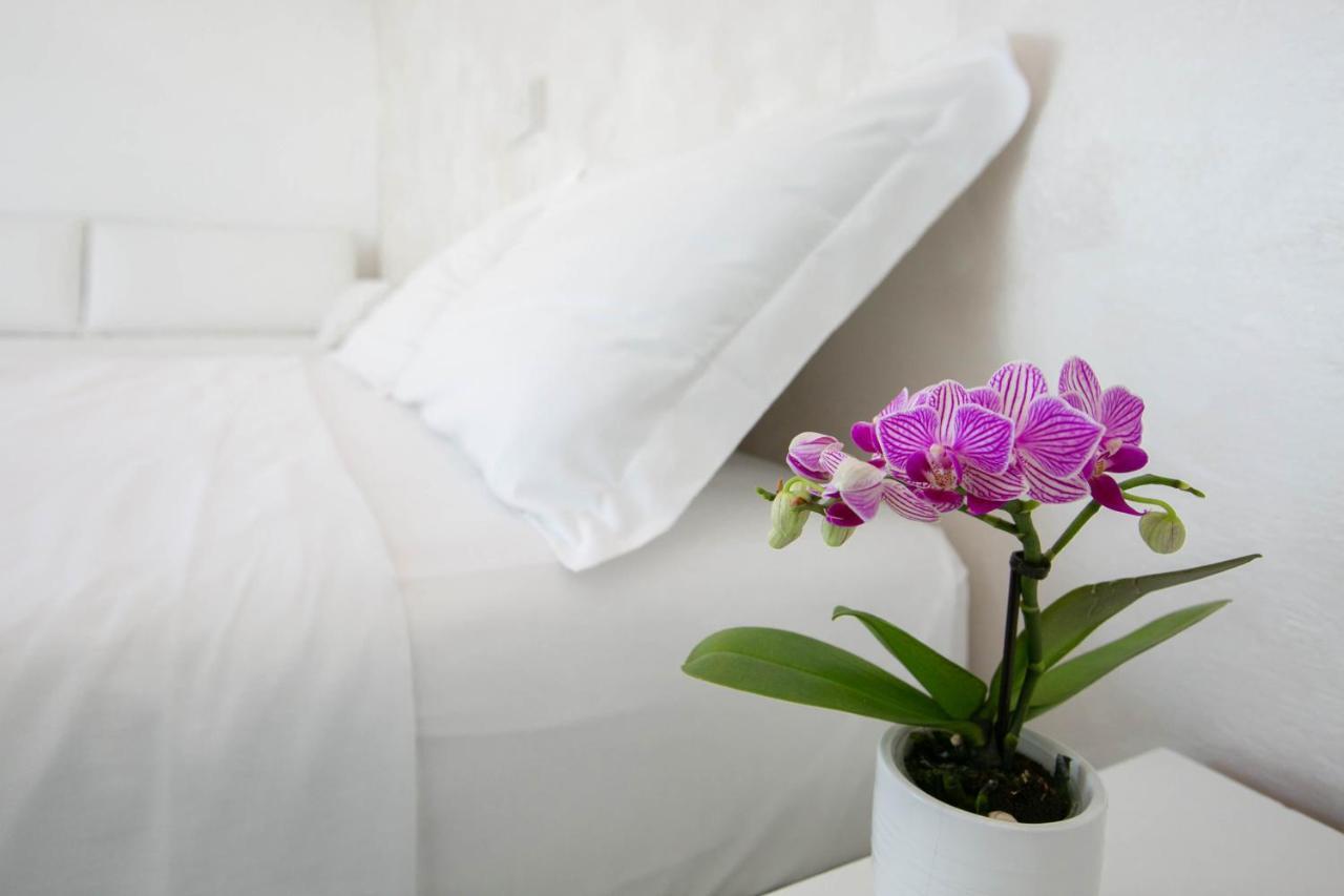 Hotel Nuovo Giardino 里米尼 外观 照片